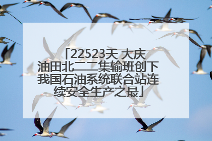 22523天 大庆油田北二二集输班创下我国石油系统联合站连续安全生产之最