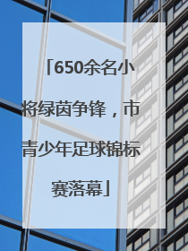 650余名小将绿茵争锋，市青少年足球锦标赛落幕