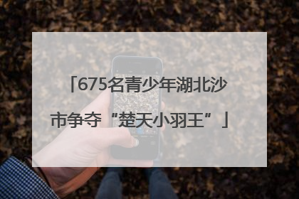 675名青少年湖北沙市争夺“楚天小羽王”