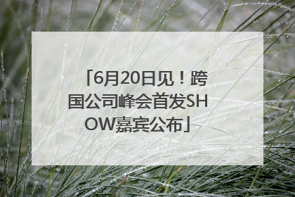 6月20日见！跨国公司峰会首发SHOW嘉宾公布