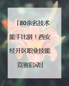 80余名技术能手比拼！西安经开区职业技能竞赛启动
