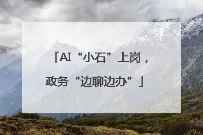 AI“小石”上岗，政务“边聊边办”