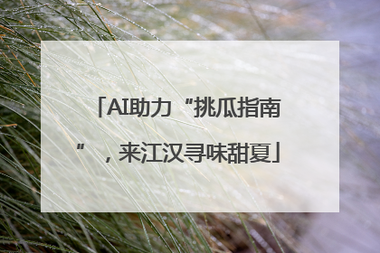 AI助力“挑瓜指南”，来江汉寻味甜夏