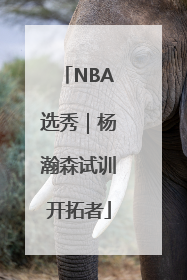 NBA选秀｜杨瀚森试训开拓者